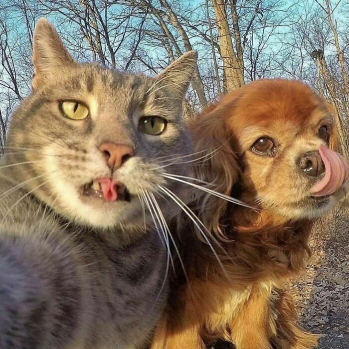 "I Want To Leave" Is Pretty Much The Weirdest Instagram Account, And Here Are 50 Pictures To Prove It (New Pics)