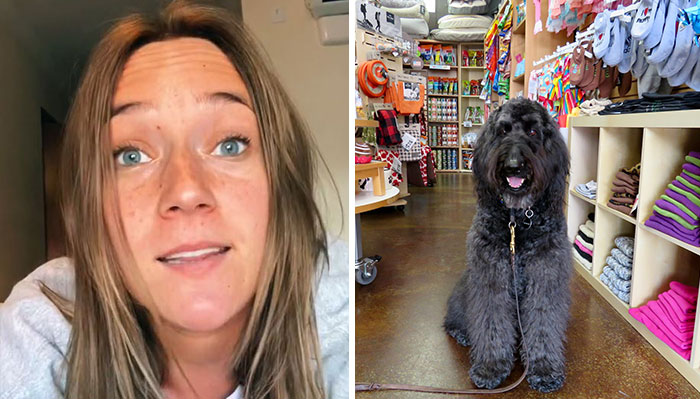 Perros en las tiendas