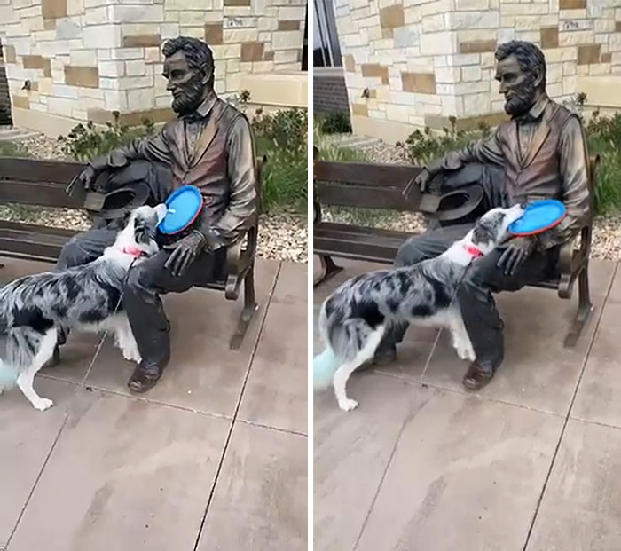 Vamos, Abe, sólo lánzame el maldito frisbee