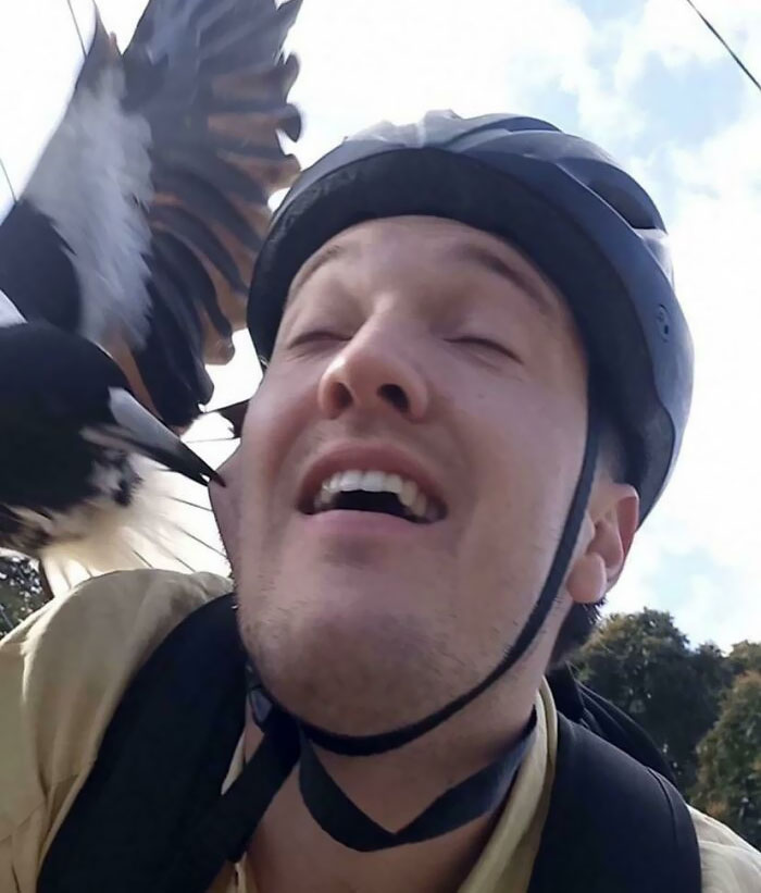 Solo traté de andar en bicicleta cerca del nido de una urraca