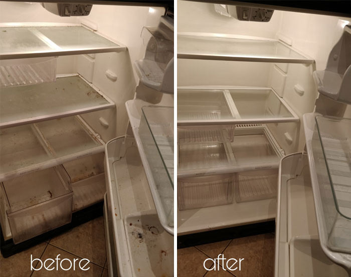 Hoy limpié el refrigerador