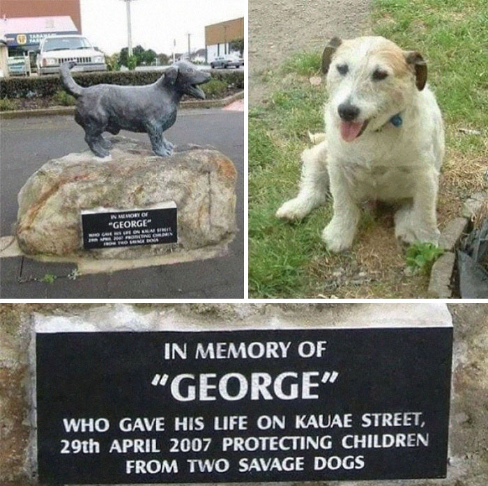 George, el protector, si está cerca, estarás a salvo