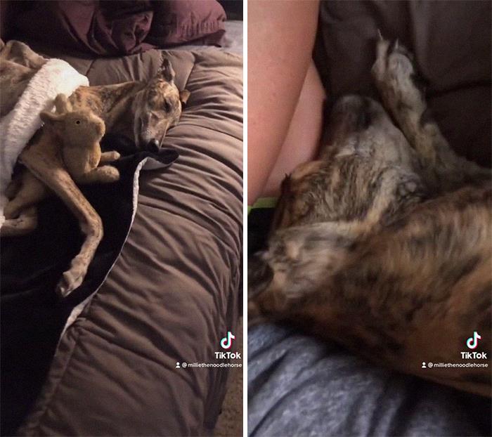 Durmiendo contigo