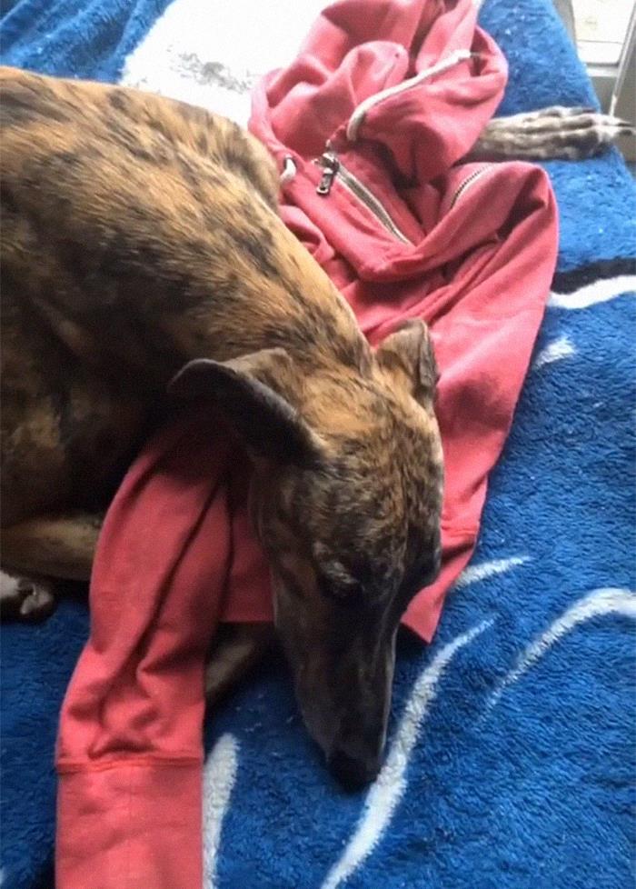 Durmiendo sobre tu ropa