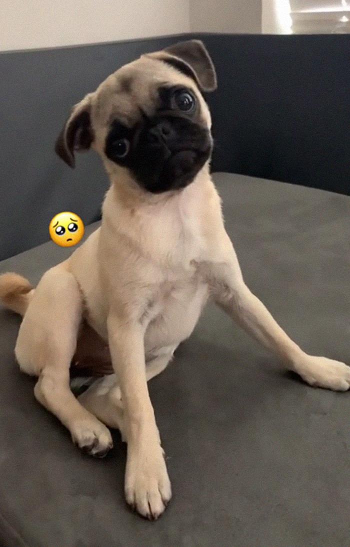 Inclinando la cabeza