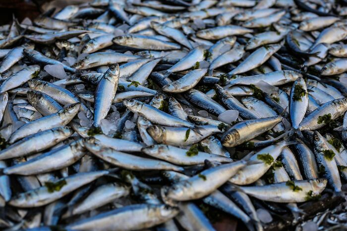 El pescado es problemático