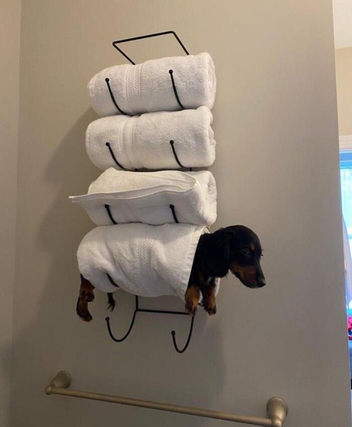 Hmmm