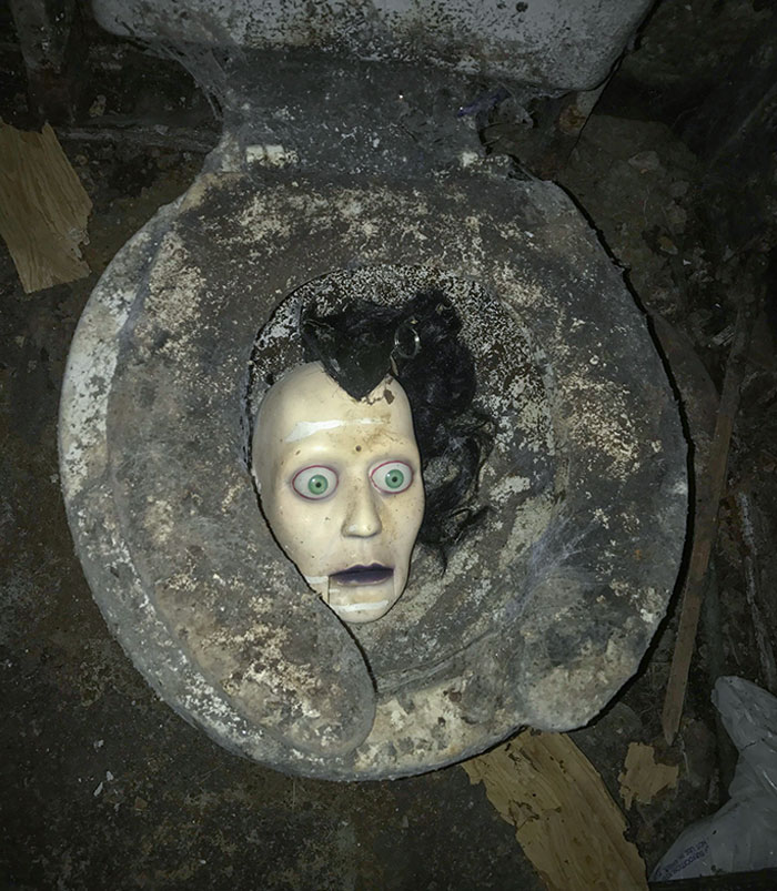 Soy contratista. Compré una casa abandonada/cerrada para renovarla. Esto estaba en el baño del sótano. ¡Pero. Qué. Demonios!