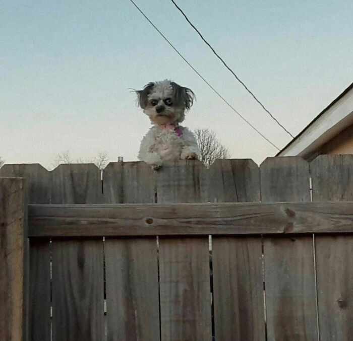 "I Want To Leave" Is Pretty Much The Weirdest Instagram Account, And Here Are 50 Pictures To Prove It (New Pics)
