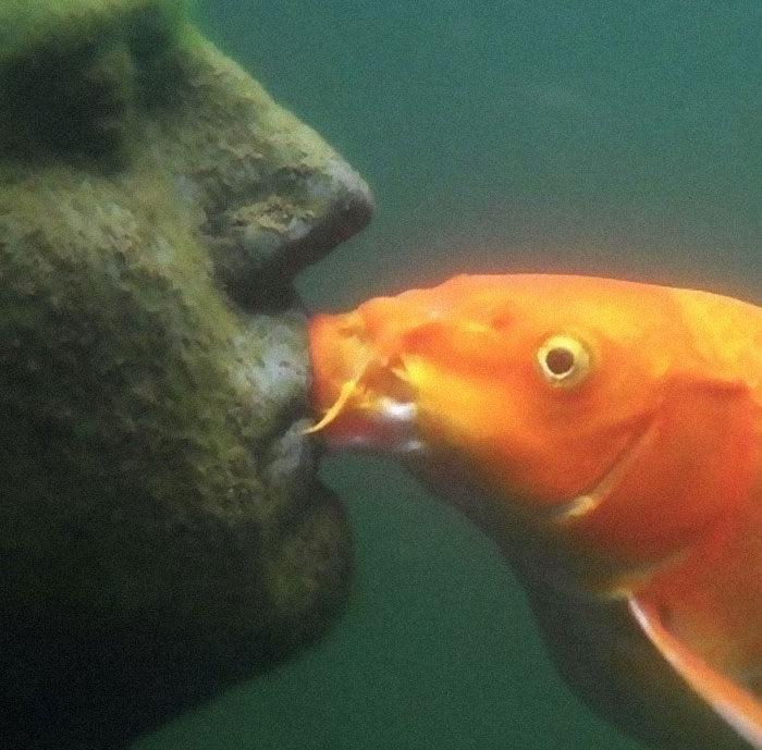 "I Want To Leave" Is Pretty Much The Weirdest Instagram Account, And Here Are 50 Pictures To Prove It (New Pics)