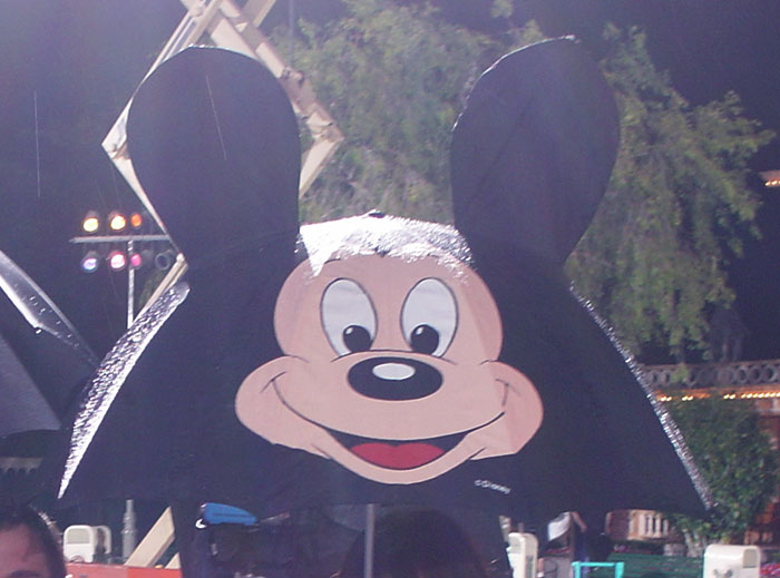 Estos empleados de los parques temáticos de Disney revelan las cosas que aman y odian de ellos (20 Publicaciones)