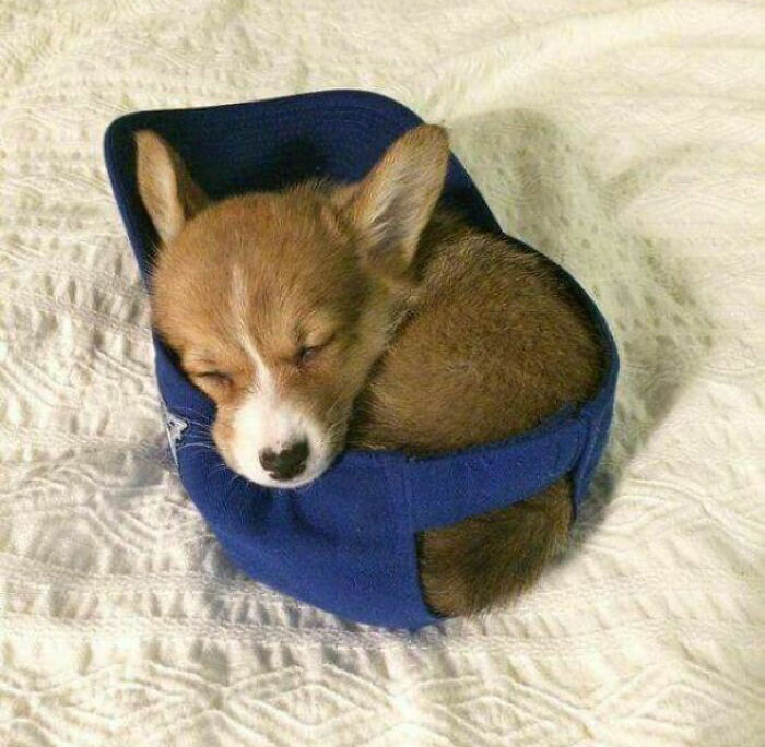 Si ella cabe, se duerme