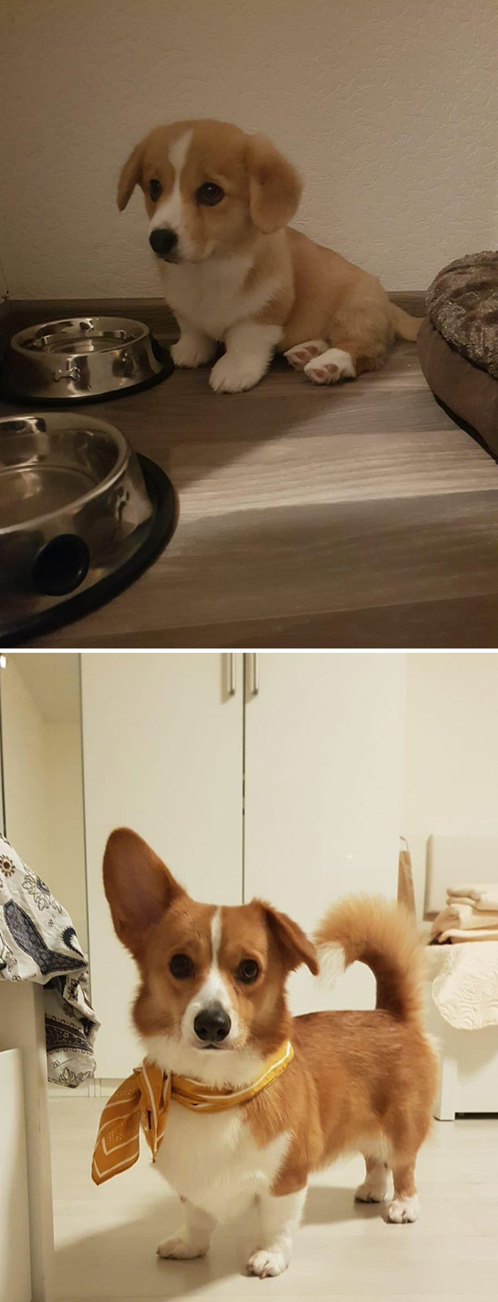 Antes y después. Un chico tan lindo