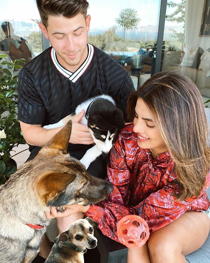 Priyanka Chopra y Nick Jonas