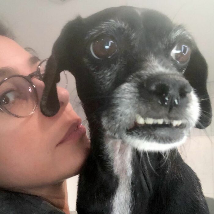 Sarah Silverman