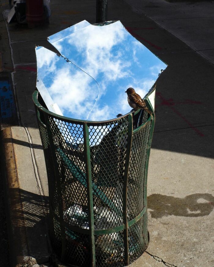 40 Photos Showing Curious Coincidences On New York City Sidewalks By Eric Kogan