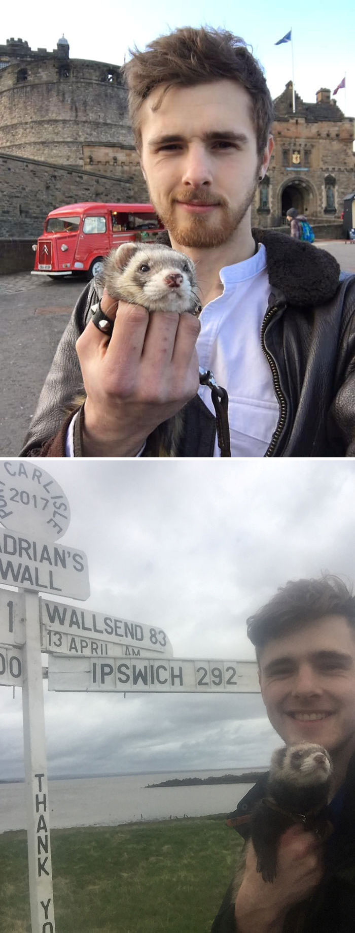 Un joven afligido deja todo para viajar por el mundo junto a su hurón mascota, luego que ocurrieran tres trágicas muertes en su vida