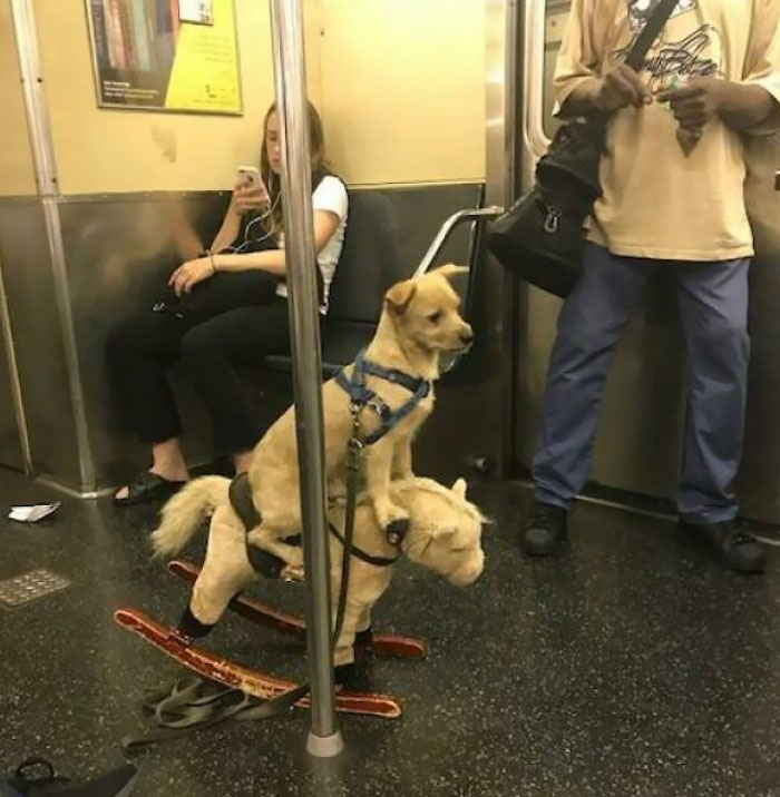 Lo vi en el subterráneo
