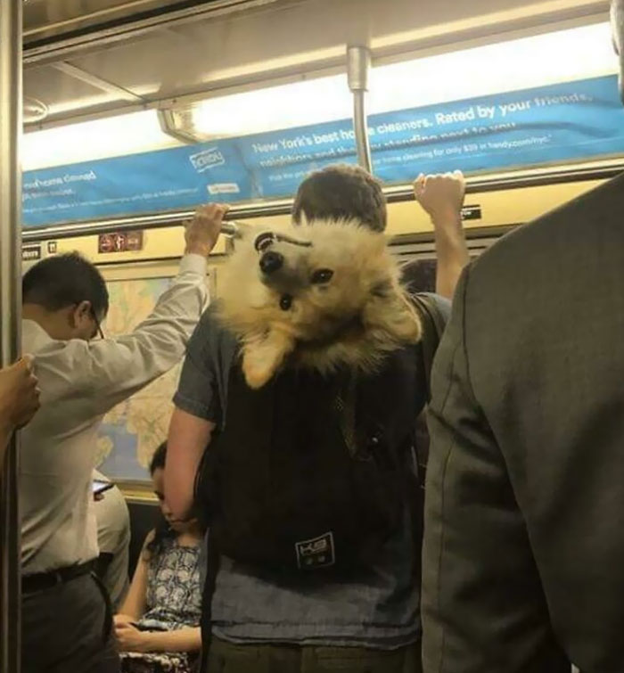 Saludos desde el subterráneo de NY
