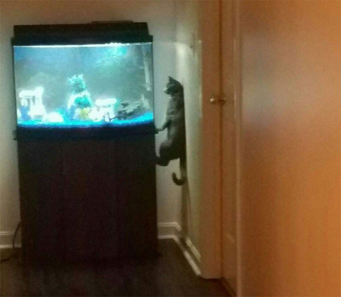 Hmmm