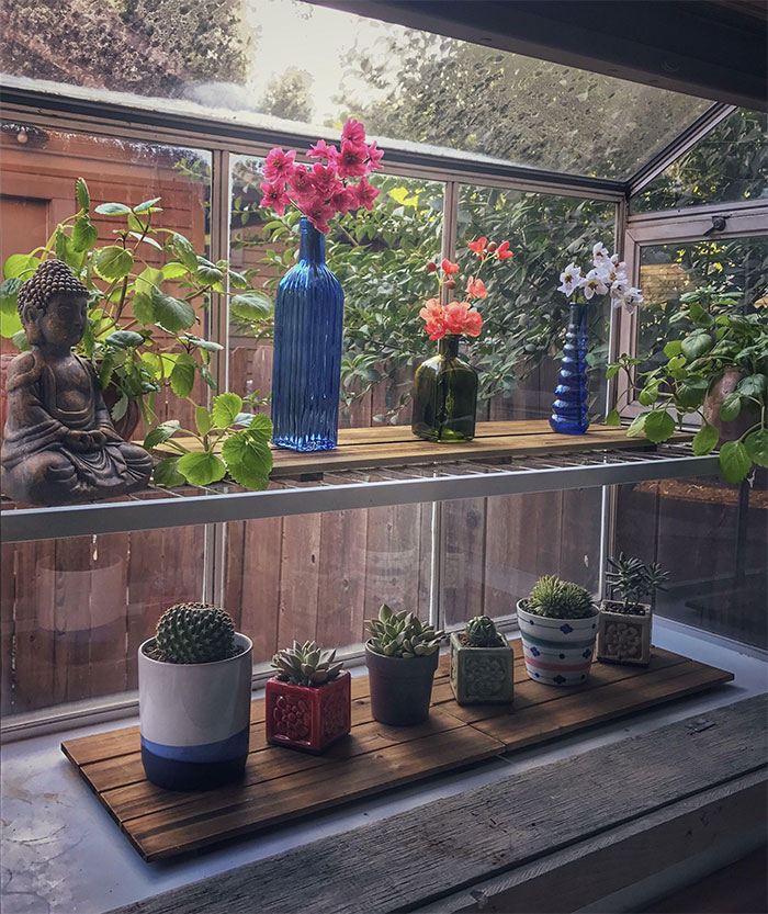 La jardinera de mi novia que, según ella, no le interesa a nadie en Reddit