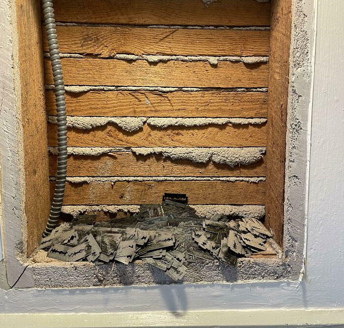 Un par de kilos de hojas de afeitar en mi pared. Aparentemente los viejos gabinetes de medicina tienen una ranura para desechos