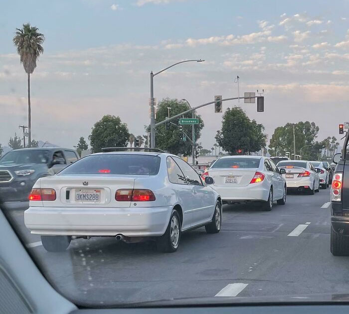 Vi 4 generaciones de Honda Civics, en orden de antigüedad, todos en color blanco