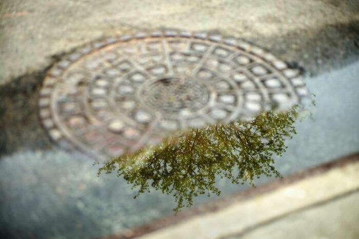 40 Photos Showing Curious Coincidences On New York City Sidewalks By Eric Kogan