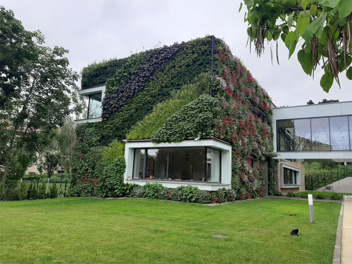 Veo que publican sus plantas de interior y yo tengo una casa de plantas
