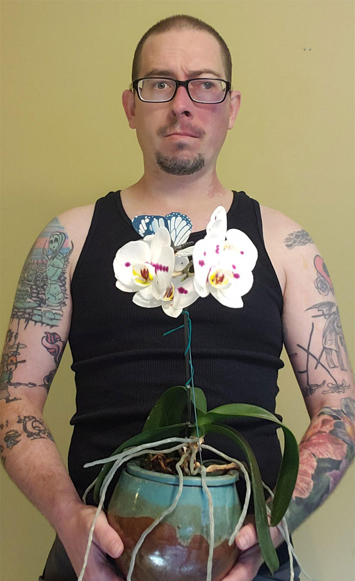 Mi orquídea finalmente floreció después de cuatro años :) 
