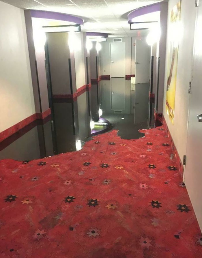“La piscina está al final del pasillo”