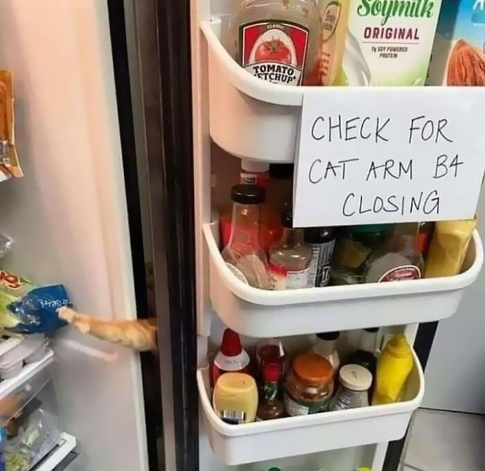 … de robar comida 