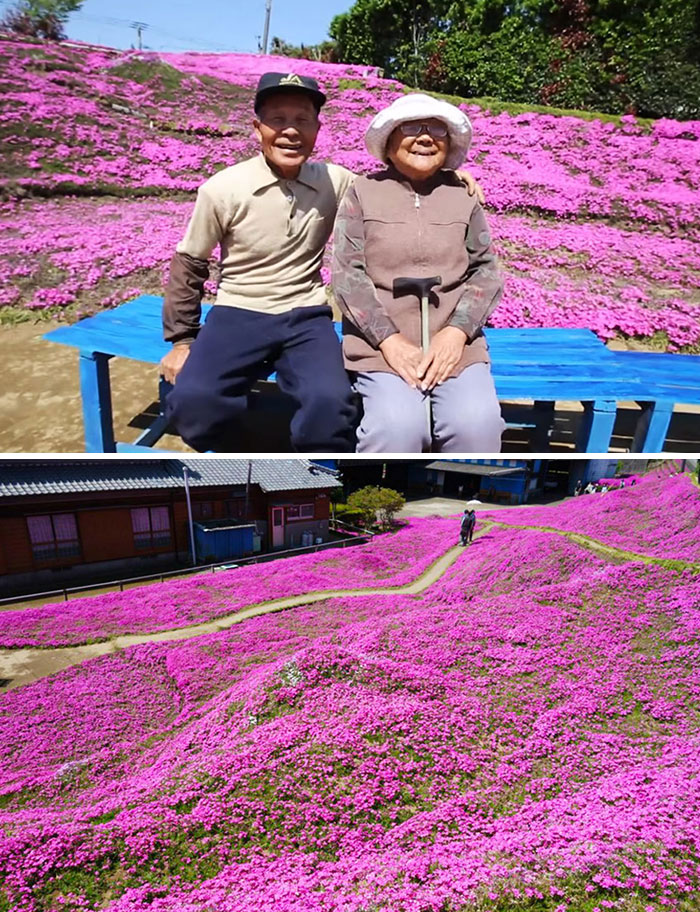 Un marido pasa 2 años plantando miles de flores perfumadas para que su mujer ciega las huela y salga de la depresión