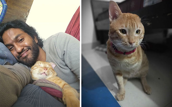 Sleepy Boi y yo… ¡Ni siquiera se me acercaba cuando lo traje a casa! Ahora, todas las noches, se mete bajo las sábanas para poder dormir conmigo