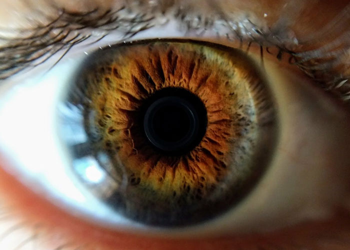 30 New ‘Today I Learned’ Facts That Prove It’s Never Too Late To Learn Something New