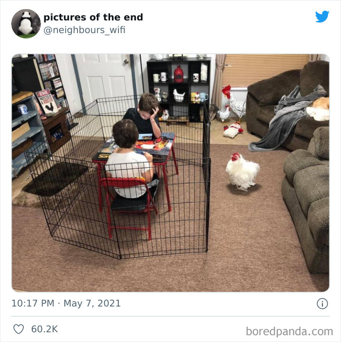 50 "Pictures Of The End" That Raise More Questions Than They Answer