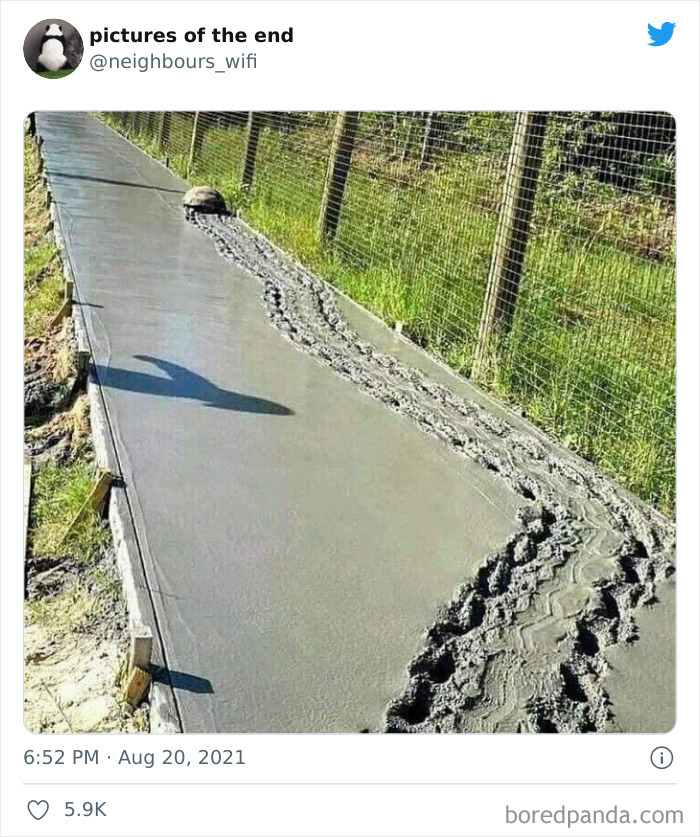 50 "Pictures Of The End" That Raise More Questions Than They Answer