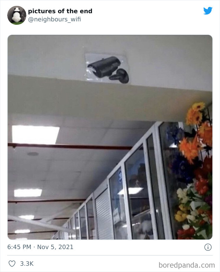 50 "Pictures Of The End" That Raise More Questions Than They Answer