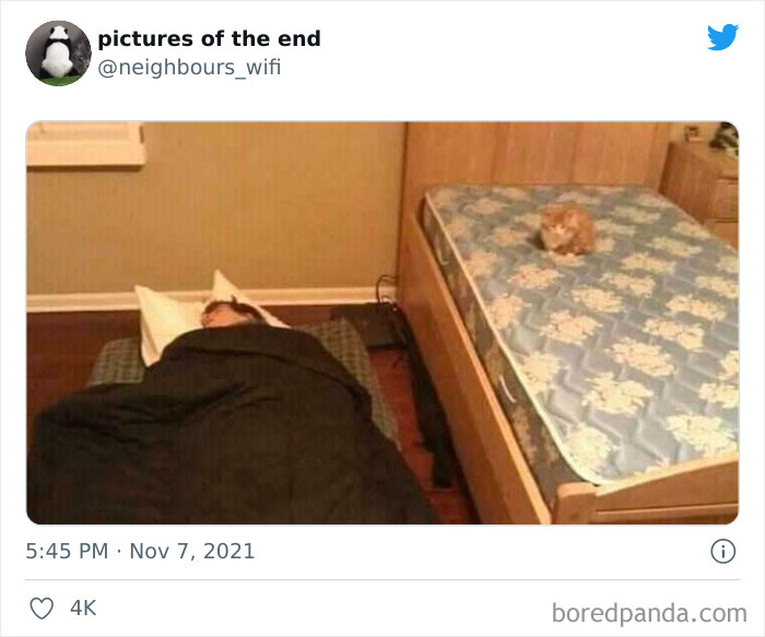 50 "Pictures Of The End" That Raise More Questions Than They Answer