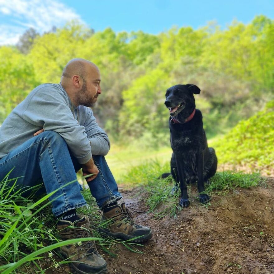 Este hombre transformó su granja en un refugio de animales con perros y gatos, pero también caballos, gaviotas y más