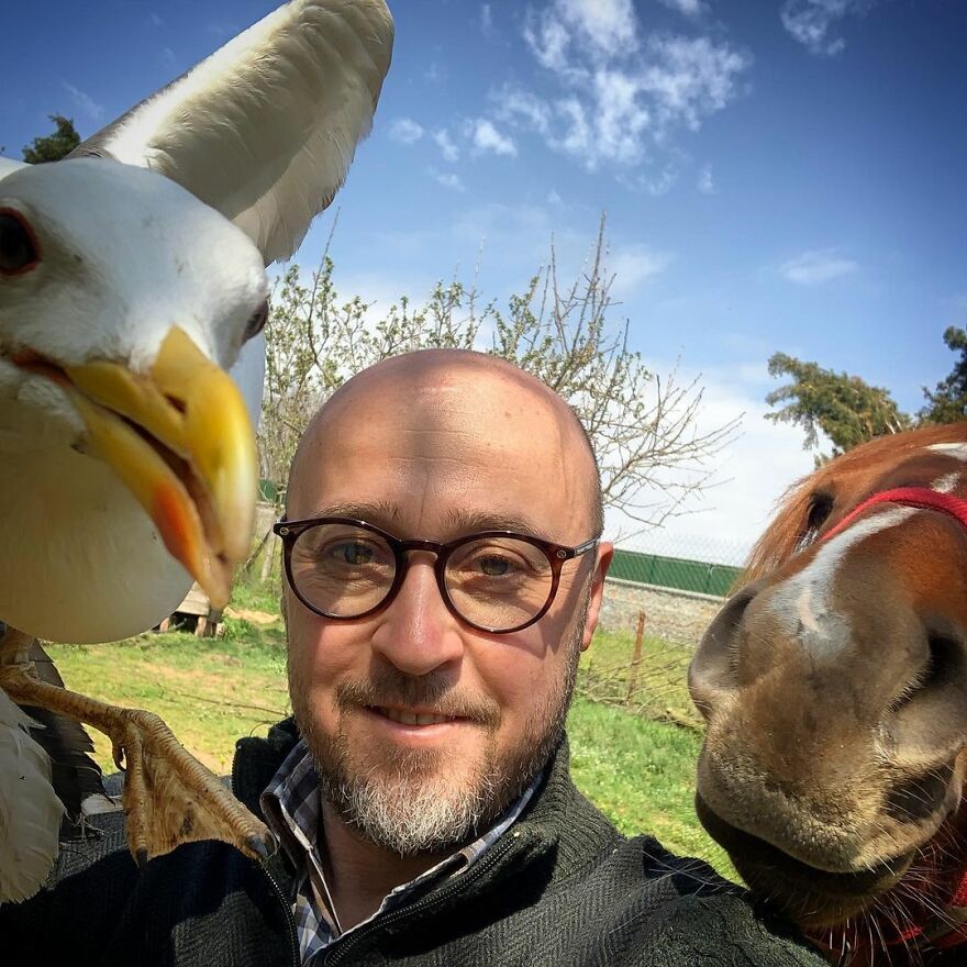 Este hombre transformó su granja en un refugio de animales con perros y gatos, pero también caballos, gaviotas y más