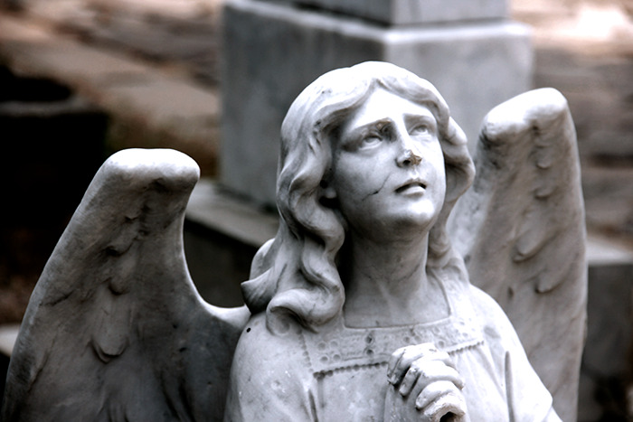 Una persona preguntó en las redes: “¿Qué cosas se cree que están en la Biblia cuando, en realidad, no es así?”, y estas 20 personas respondieron