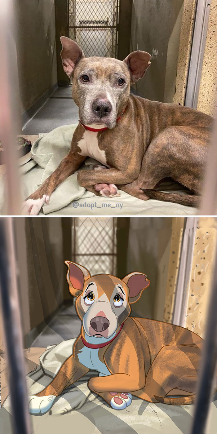 People Send Pics Of Their Pets To This Artist And She Disneyfies Them (30 New Pics)