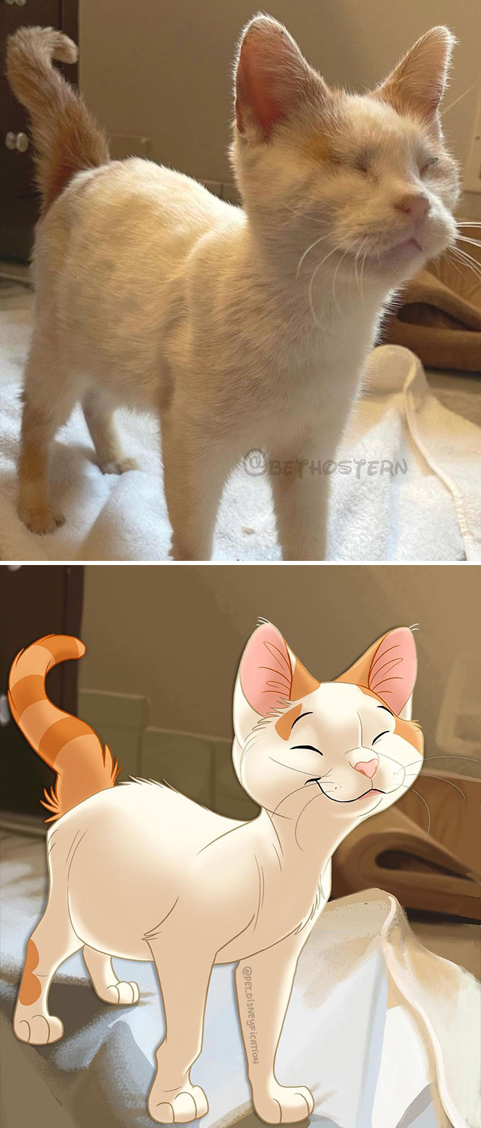 People Send Pics Of Their Pets To This Artist And She Disneyfies Them (30 New Pics)