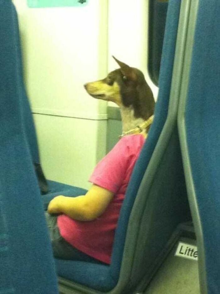 Gracias por volar con Aerolíneas de Egipto