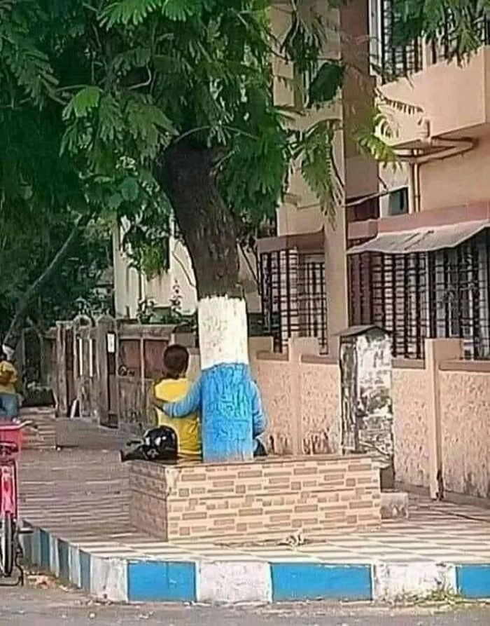 ¡El árbol que te abraza!