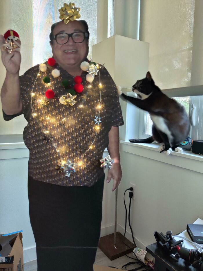Mi novia y yo tenemos un departamento pequeño así que hicimos un Danny de decoración en lugar de un árbol de Navidad