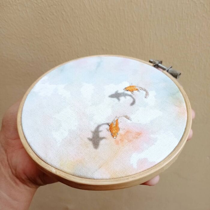 Carpas koi nadando