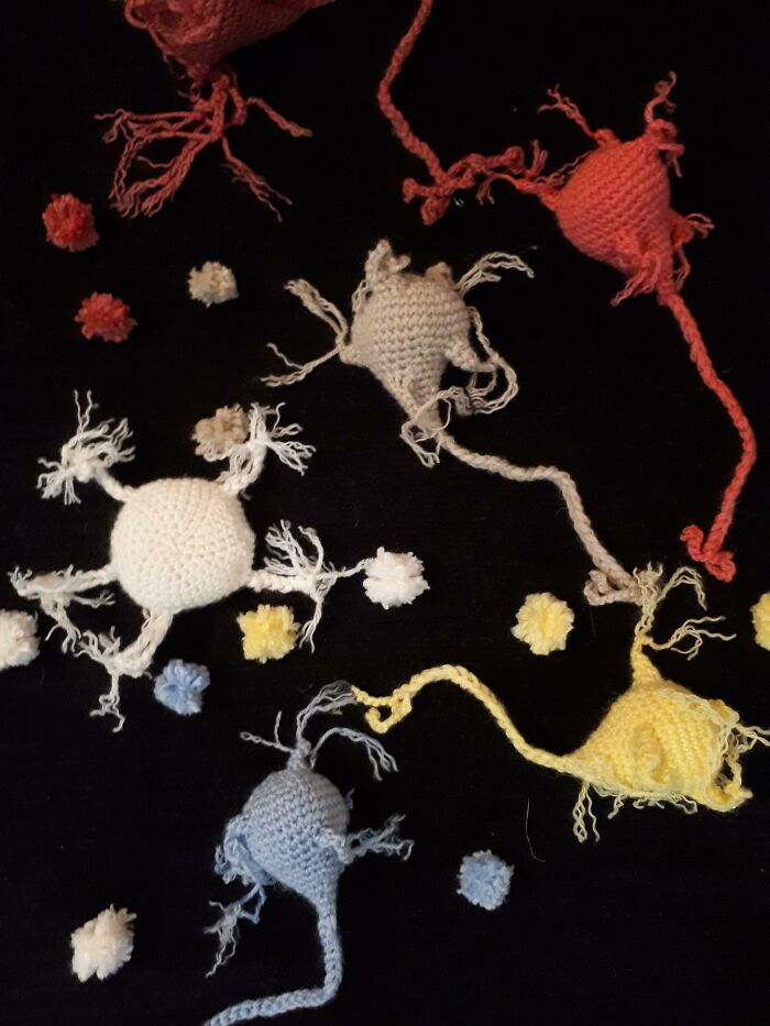 Hice microglías y neuronas en ganchillo para la portada de mi tesis, la cual tuve que defender el día de hoy