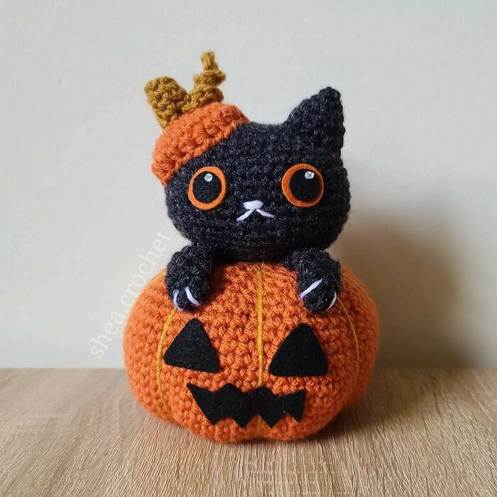 Hice un pequeño gato calabaza